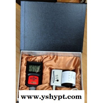 温度记 YQ176 温湿度记录仪（带打印机） 温湿度记录仪报价