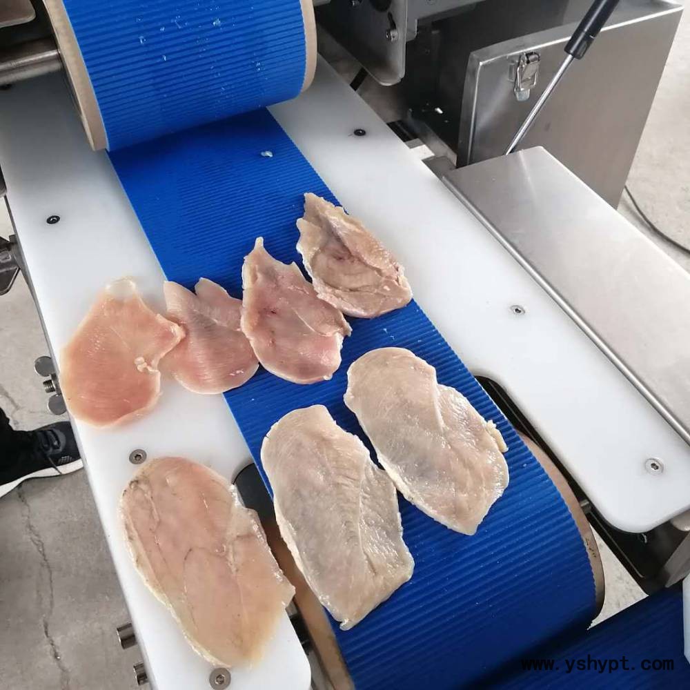鱼肉牛肉分切机器 冻羊肉条切片切条流水线