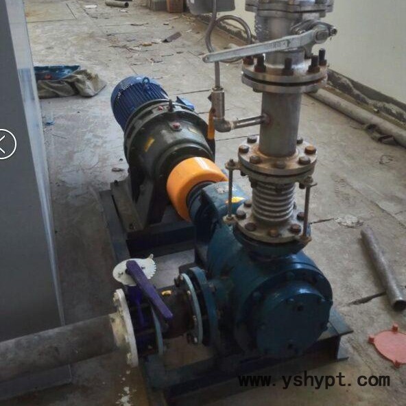 高粘度泵 NYP111糖蜜泵 油墨输送泵 鸿海 质保一年