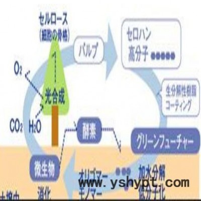 日本进口二村化学玻璃纸