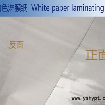 低价直销免费拿样PE涂层包装纸 淋膜牛皮纸卷筒 牛皮纸保护膜